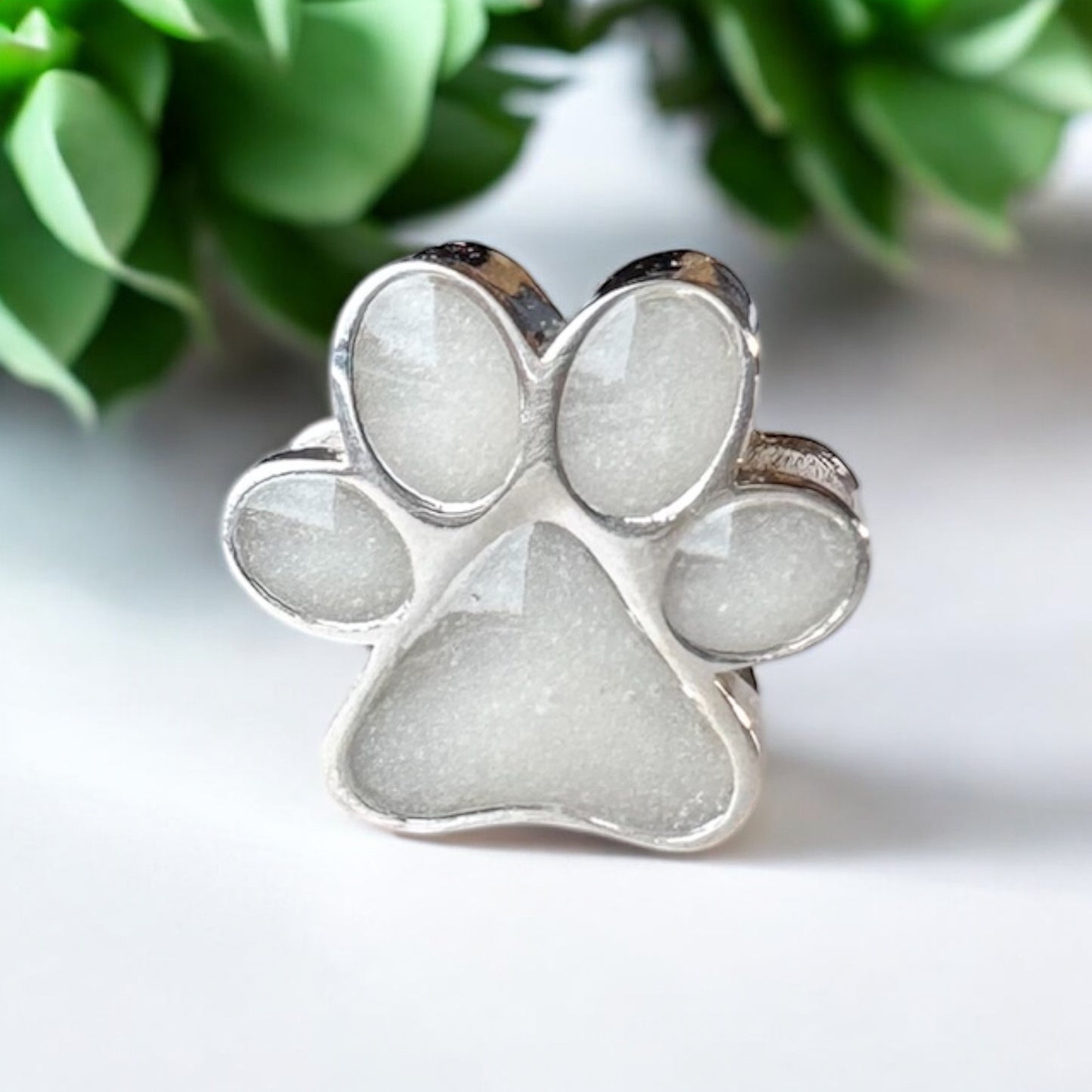 NEW Paw Collection Ring Charm and Pendant