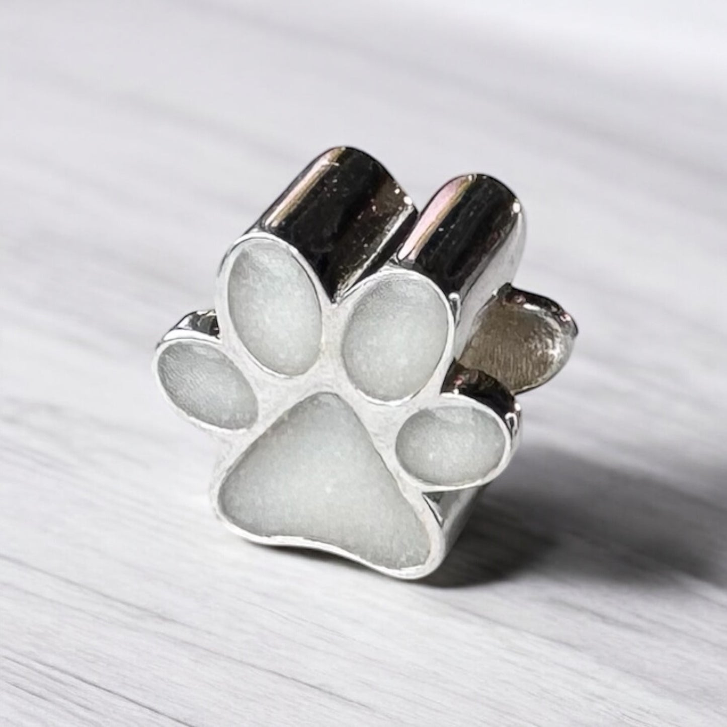 NEW Paw Collection Ring Charm and Pendant